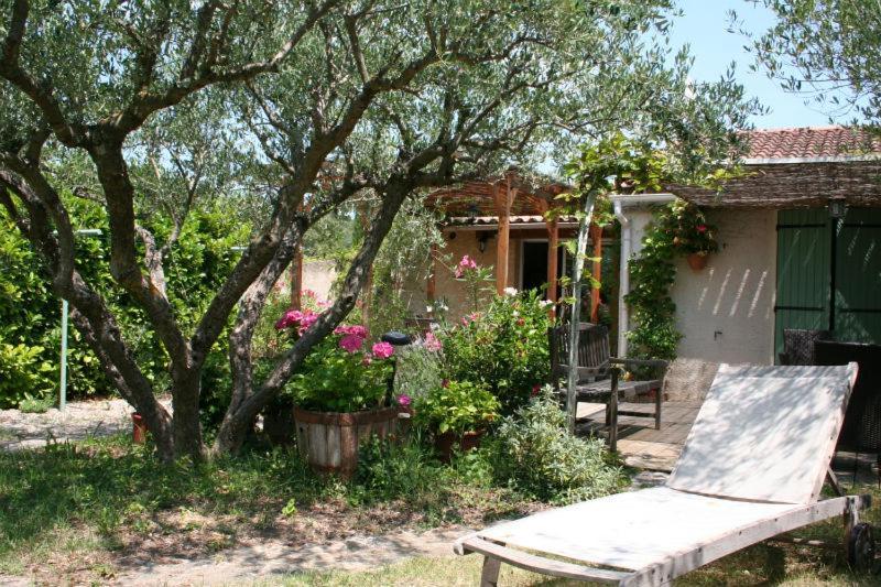 Gite Des Oliviers La Roque-sur-Cèze Dış mekan fotoğraf