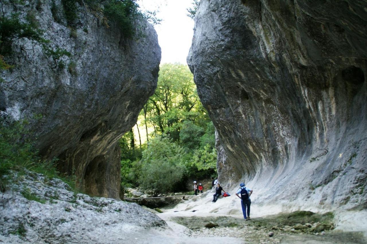 Gite Des Oliviers La Roque-sur-Cèze Dış mekan fotoğraf